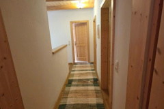 DNNW1647