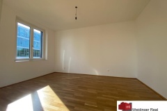 Zimmer-2