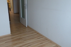 Zimmer1