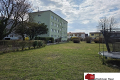 1e1c1feb-c23e-4b7a-b5d7-bf69e1dd6fb0